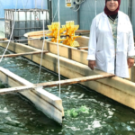 Prof. Dr. Heba Saad El-Sayed