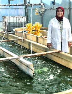 Prof. Dr. Heba Saad El-Sayed