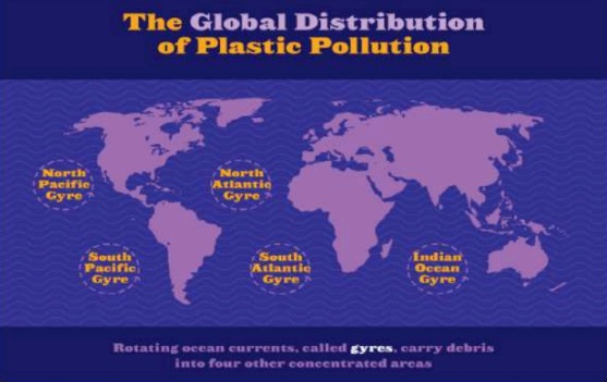 "التلوث البلاستيكي في البحر المتوسط وخطره على الحياة البحرية"