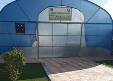 استزراع الاسبيرولينا